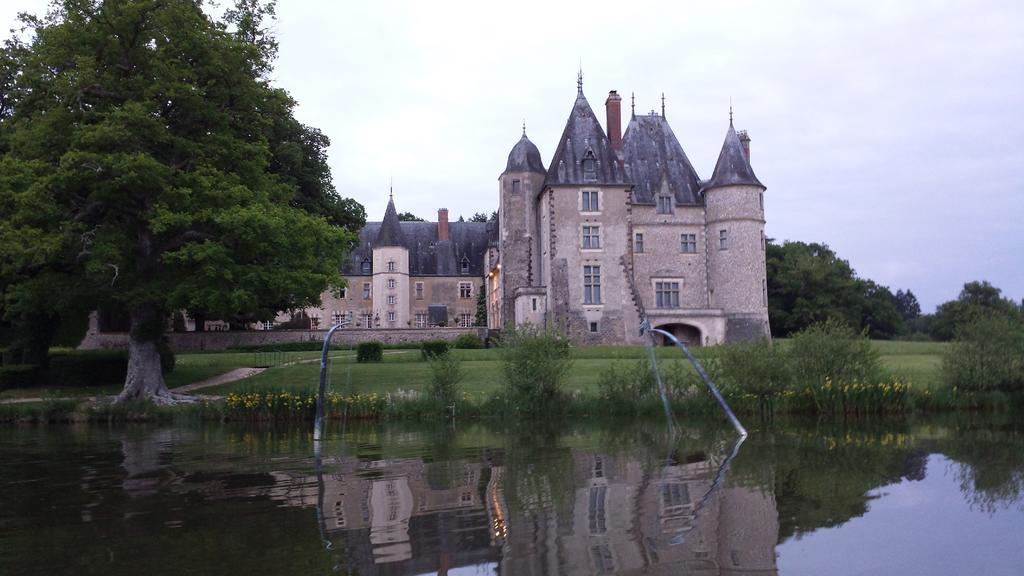 فندق Aubigny-sur-Nèreفي  Chateau De La Verrerie المظهر الخارجي الصورة